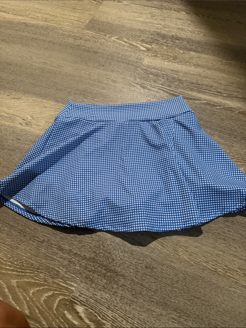 Altar'd State Blue Gingham Skater Skirt